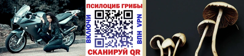 Псилоцибиновые грибы Magic Shrooms  где можно купить   Лабытнанги 